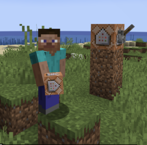 Minecraft Command Blocks – COURSE