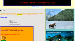 a screenshot of a computer program