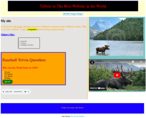 FirstWebsite-min